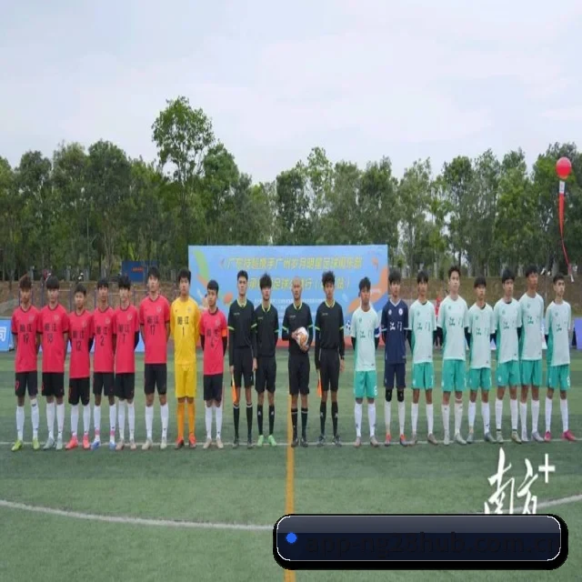 赛事数据与深度分析